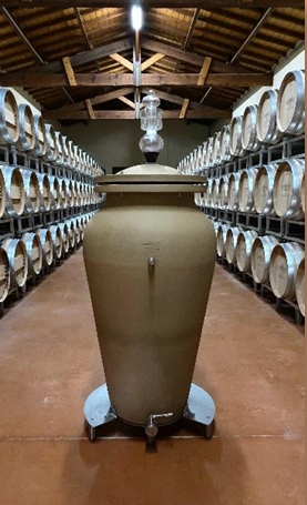 photo amphore et barriques